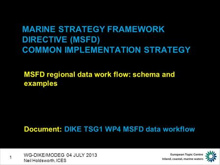 1 MARINE STRATEGY FRAMEWORK DIRECTIVE (MSFD) COMMON IMPLEMENTATION STRATEGY MSFD regional data work flow: schema and examples Document: DIKE TSG1 WP4 MSFD.