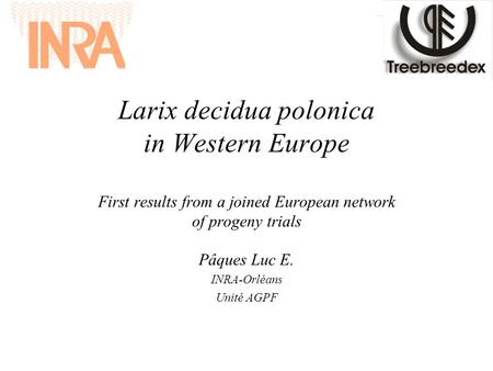 Larix decidua polonica in Western Europe First results from a joined European network of progeny trials Pâques Luc E. INRA-Orléans Unité AGPF.