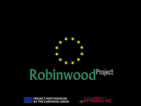 PIC INTERREG IIIC Sud “Robinwood” Mr. Paolo Forno Financial Manager Sub-projects Financial Management.