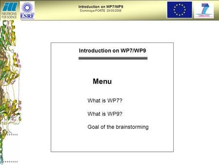 Introduction on WP7/WP9 Dominique PORTE 29/05/2008 Menu What is WP7? What is WP9? Goal of the brainstorming Introduction on WP7/WP9.