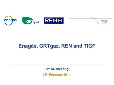 21 st SG meeting 19 th February 2014 Enagás, GRTgaz, REN and TIGF.