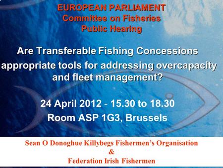 EUROPEAN PARLIAMENT Committee on Fisheries Public Hearing Are Transferable Fishing Concessions appropriate tools for addressing overcapacity and fleet.