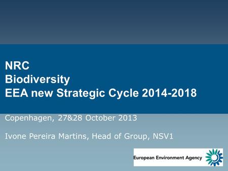 NRC Biodiversity EEA new Strategic Cycle 2014-2018 Copenhagen, 27&28 October 2013 Ivone Pereira Martins, Head of Group, NSV1.