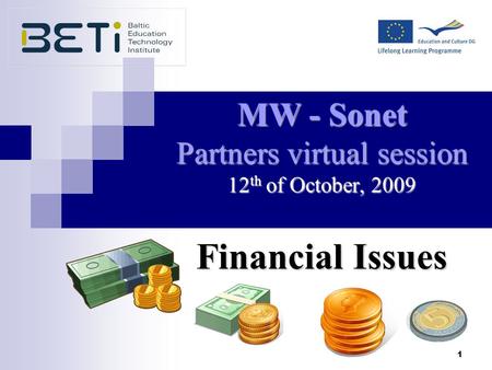 1 MW - Sonet Partners virtual session 12 th of October, 2009 Financial Issues.