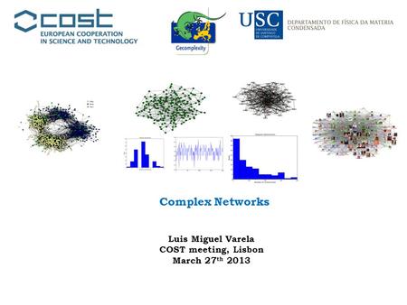 Complex Networks Luis Miguel Varela COST meeting, Lisbon March 27 th 2013.