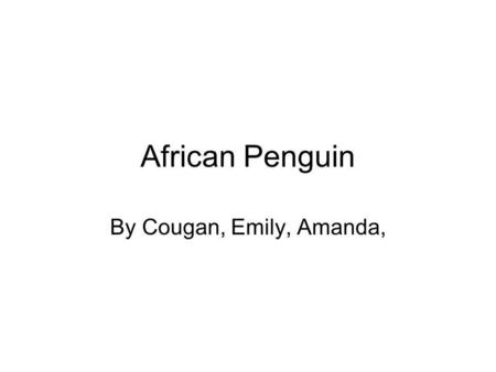 African Penguin By Cougan, Emily, Amanda,. There are 17 different kinds of penguins. The female penguins lay 2 eggs. Penguins can’t fly.