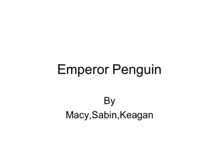 Emperor Penguin By Macy,Sabin,Keagan.