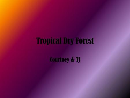 Tropical Dry Forest Courtney & TJ. Climate Climate- severe dry season Temp. range 24.3 C. (66 deg. F.) Annual Rainfall-250 to 2000 mm per year (10- 80.