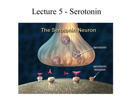 Lecture 5 - Serotonin.