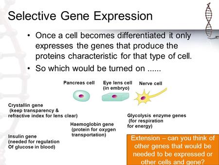 Selective Gene Expression