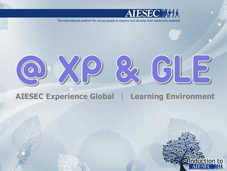 AIESEC Experience Global | Learning Environment.