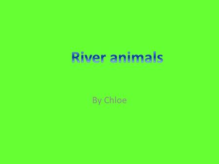 By Chloe. Otters live on land and in rivers. They can bite and fight with their tails. They have been around for at least 30 million years. They are often.