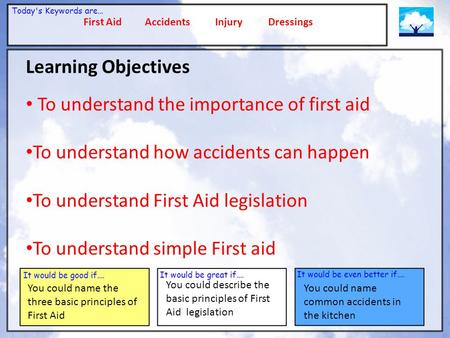 First Aid Accidents Injury Dressings