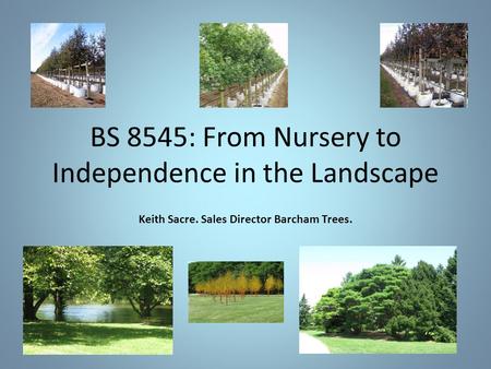 BS 8545: From Nursery to Independence in the Landscape Keith Sacre. Sales Director Barcham Trees.