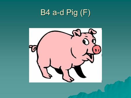 B4 a-d Pig (F).  Name the pores in the bottom of a leaf.