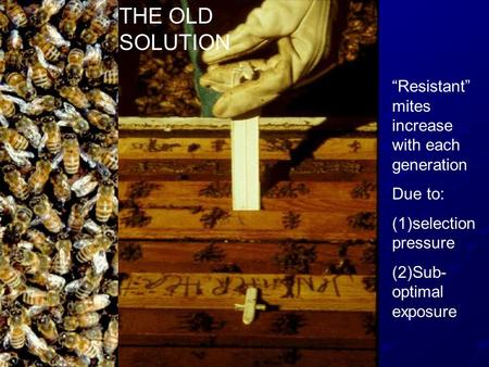 THE OLD SOLUTION “Resistant” mites increase with each generation Due to: (1)selection pressure (2)Sub- optimal exposure.