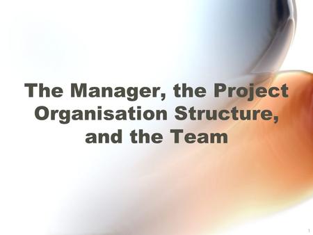 1 The Manager, the Project Organisation Structure, and the Team.