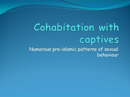 Numerous pre-islamic patterns of sexual behaviour.