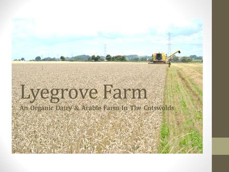 Lyegrove Farm An Organic Dairy & Arable Farm In The Cotswolds.