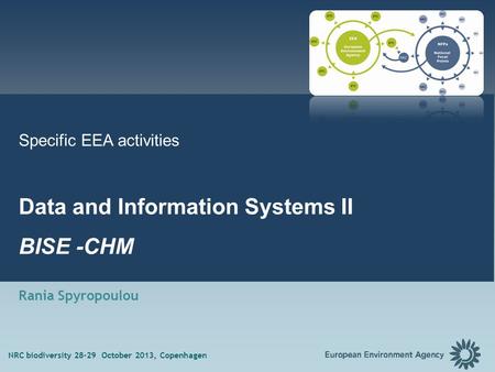 1 Specific EEA activities Data and Information Systems II BISE -CHM Rania Spyropoulou NRC biodiversity 28-29 October 2013, Copenhagen.