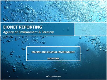 EIONET REPORTING Agency of Environment & Forestry MARINE AND COASTAL ENVIRONMENT MARITIME MARITIME 21/22 October 2013.