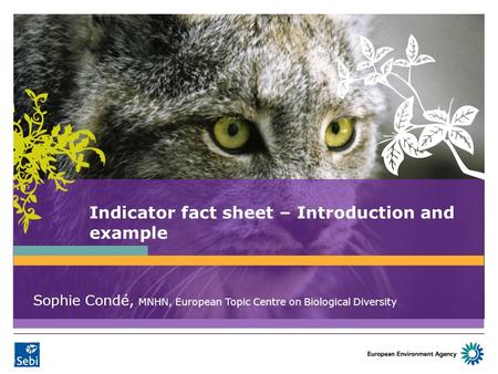 Indicator fact sheet – Introduction and example Sophie Condé, MNHN, European Topic Centre on Biological Diversity.