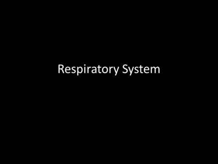 Respiratory System. Which Lung is Larger? A.Right B.Left.