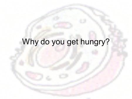 Why do you get hungry?.