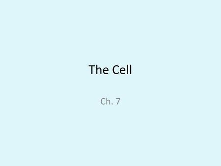 The Cell Ch. 7.
