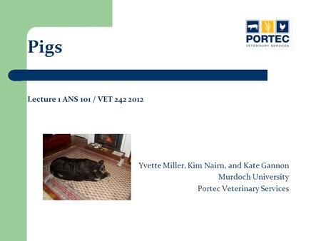 Pigs Lecture 1 ANS 101 / VET Yvette Miller, Kim Nairn, and Kate Gannon
