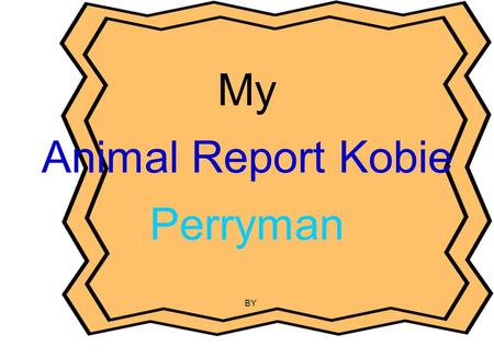My Animal Report Kobie Perryman