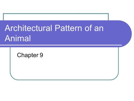 Architectural Pattern of an Animal