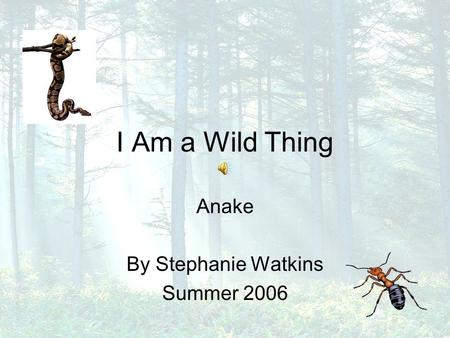 I Am a Wild Thing Anake By Stephanie Watkins Summer 2006.