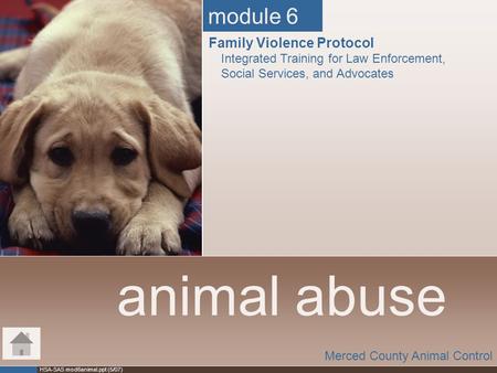 animal abuse module 6 Family Violence Protocol