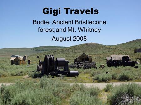 Gigi Travels Bodie, Ancient Bristlecone forest,and Mt. Whitney August 2008.