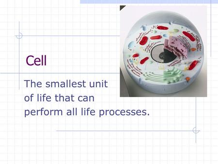 The smallest unit of life that can perform all life processes.