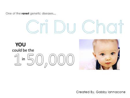 Cri Du Chat 1 50,000 YOU could be the in Created By, Gabby Iannacone