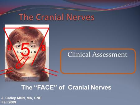 5 The Cranial Nerves 8 8 Clinical Assessment