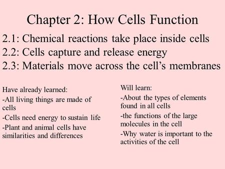 Chapter 2: How Cells Function