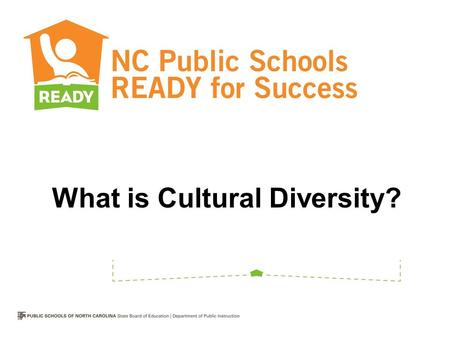 What is Cultural Diversity?. How would you define cultural diversity?