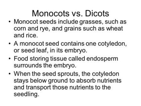 Monocots vs. Dicots Monocot seeds include grasses, such as corn and rye, and grains such as wheat and rice. A monocot seed contains one cotyledon, or seed.