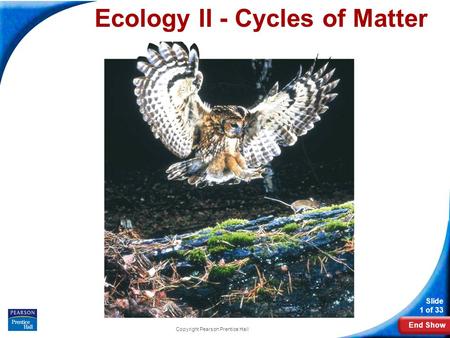 Ecology II - Cycles of Matter