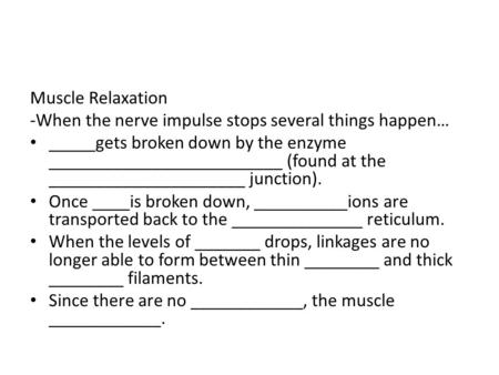 Muscle Relaxation -When the nerve impulse stops several things happen…