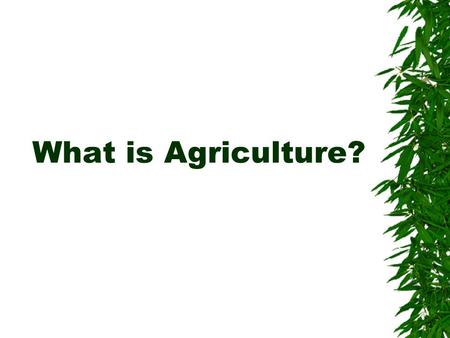 What is Agriculture?.  What are you wearing?  What did you eat for breakfast?