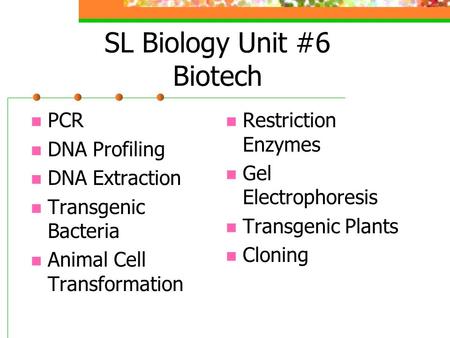 SL Biology Unit #6 Biotech