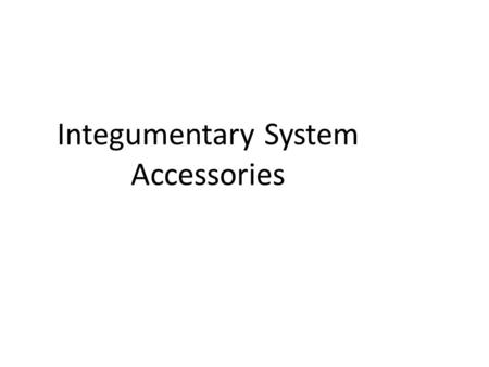 Integumentary System Accessories