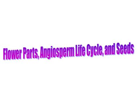 Flower Parts, Angiosperm Life Cycle, and Seeds