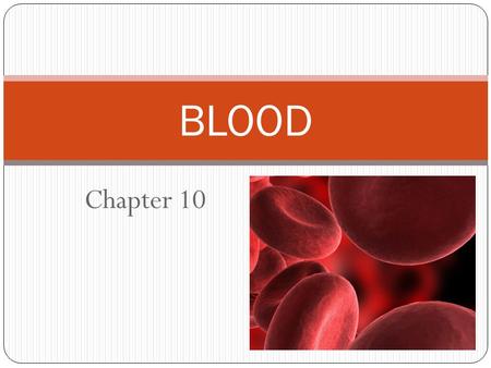 BLOOD Chapter 10.
