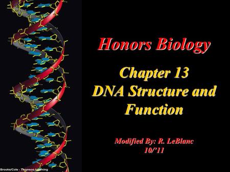 Honors Biology Chapter 13 DNA Structure and Function Modified By: R