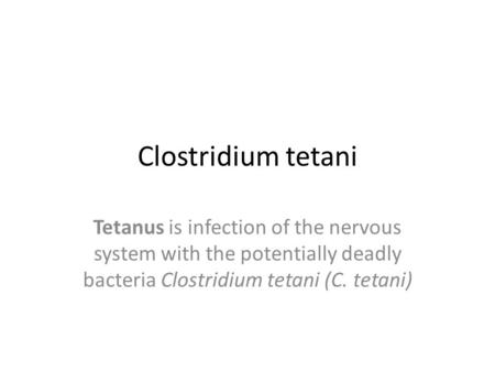 Clostridium tetani Tetanus is infection of the nervous system with the potentially deadly bacteria Clostridium tetani (C. tetani)